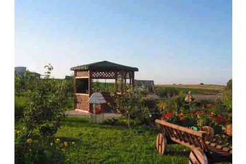 Accommodatie bij particulieren Kozlovichy 2
